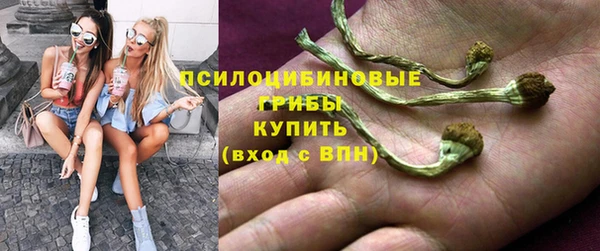 а пвп мука Аркадак