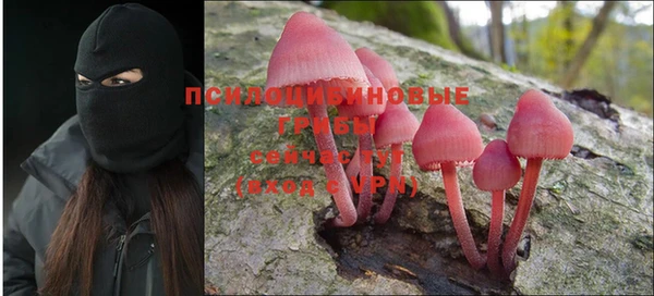 амф Арсеньев