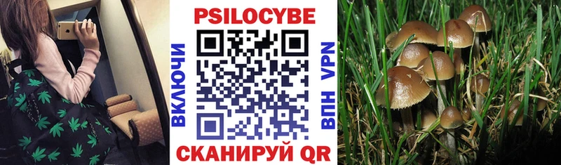 Псилоцибиновые грибы Magic Shrooms Корсаков
