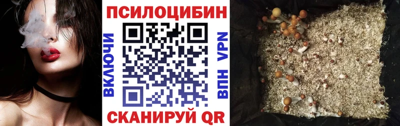 Купить где  Корсаков  Галлюциногенные грибы GOLDEN TEACHER 